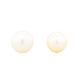 14KT Yellow Gold White Pearl Stud Earrings