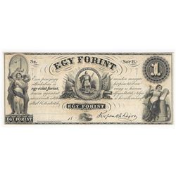 1800s $1 Egy Forint Obsolete Bank Note