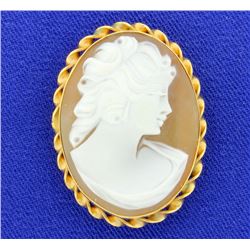 Fantastic Carved Cameo pendant / pin combination