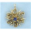 Image 1 : Antique Sapphire Pin/Pendant combination