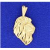 Image 1 : 14K Lion Head Pendant