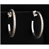 Image 1 : 18k White Gold Diamond Hoop Earrings