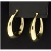 Image 1 : Large Gold Hoop Earrings