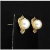 Image 2 : 14K Pearl Earrings