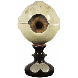 German Ocular Medical Display