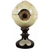 Image 1 : German Ocular Medical Display