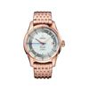 Image 1 : Omega  De Ville Hour Vision Automatic  Men Watch