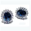 Image 1 : Sterling Silver-Cz Saphire Royal Earring