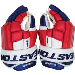 Lee Stempniak New York Rangers  2014-2015 Season Game Used Gloves (Pair)