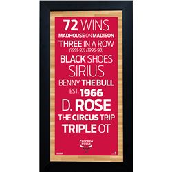 Chicago Bulls Subway Sign 6X12 Framed Photo