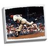 Image 1 : Whitey Ford Pitching  Signed 20X24 Canvas