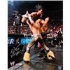 Image 1 : Matt Hardy Jump Off Rope 16X20 Photo