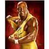 Image 1 : Hulk Hogan " Red " Signed 16X20 Photo