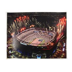 Metlife Stadium Large Poster (Signed By Hauser)