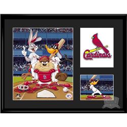 St. Louis Cardinals Looney Tunes 11X14 Lithograph