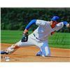 Image 1 : Anthony Rizzo Signed Chicago Cubs Fielding Action On Knees 16X20 Photo