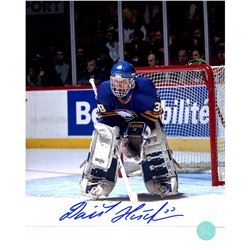 Dominik Hasek Buffalo Sabres Signed Dominator Goalie 8X10 Photo (AJ Sports Auth)