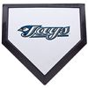 Image 1 : Toronto Blue Jays MLB Baseball Schutt Mini Home Plate