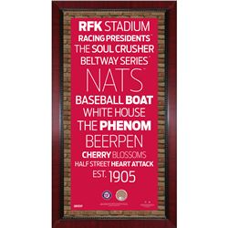 Washington Nationals Subway Sign Wall Art 16X32 Frame W/ Authentic Dirt From Nationals Park