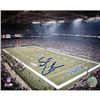 Image 1 : Scott Linehan St Louis Rams Field Overview Horizontal 8X10