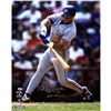 Image 1 : Roberto Alomar Blue Jays Grey Jersey Swing Vertical 8X10 Photo W/ "HOF" Insc. (MLB Auth)