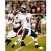 Image 1 : Rex Grossman Throw Versus Arizona 16X20 Photograph
