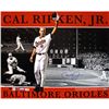 Image 1 : Cal Ripken Jr. 16X20 Collage (LE/2000) (Ironclad Holo) (MLB AUTH)