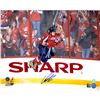 Image 1 : Alexander Ovechkin Washington Capitals Signed Fan Celebration 16X20 Photo (AJ Sports Auth)