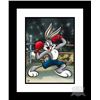 Image 1 : Boxer Bugs