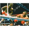 Image 1 : James Buster Douglas Signed Knocking Down Mike Tyson 16X20 Photo