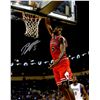 Image 1 : Bobby Portis Signed Bulls Action Dunk 8X10 Photo