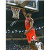 Image 1 : Bobby Portis Signed Bulls Action Dunk 16X20 Photo