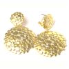 Image 1 : GD-CZ Clip/Post Earrings