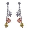 Image 1 : Vermeil Gold-Tri Champ Earring