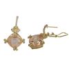 Image 1 : GD-Champ Clip/Post Ear