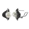 Image 1 : Crystals With Pearl