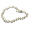 Image 1 : 10M/12M Center Shell Pearl Nec