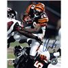 Image 1 : Chris Perry Signed Cincinnati Bengals 8X10 Photo