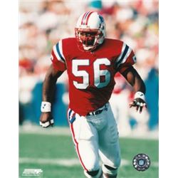 Andre Tippett Unsigned New England Patriots 8X10 Photos- Set Of 2