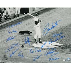 1969 Chicago Cubs Team Signed (W/Ron Santo) Black Cat B&W 16X20 Photo W/17 Signatures