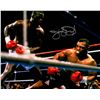 Image 1 : James Buster Douglas Signed Boxing Match Knocking Down Mike Tyson 8X10 Photo
