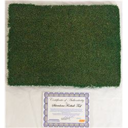 Silverdome Actual Stadium Used 12X16 Turf Piece - Home Of Detroit Lions / Pistons / Wrestlemania III