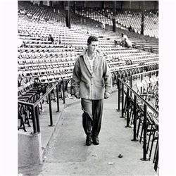 Ted Williams Walking Through Stadium Metallic 11X14 Photo