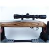 Image 8 : Ruger 10-22 Target