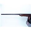 Image 8 : Perfect moose thumper w/ 2.5-8 bushnell scope