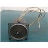 Image 1 : Lu Yang Induction Motor, 25W