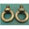 Image 2 : 42mm Dia. Thread Eye Bolt