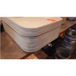 VARIOUS SIZED SALAD DRESSING BOWLS PLUS 21 PLASTIC SERVING TRAYS