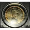 Image 3 : 1955 $1 PCGS MS64+