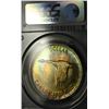 Image 3 : 1967 $1 PCGS MS64+